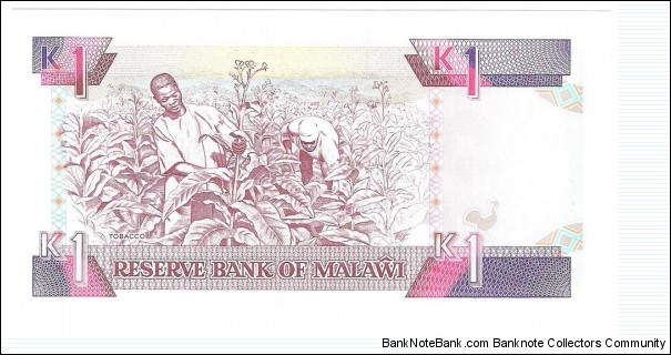 Banknote from Malawi year 1992