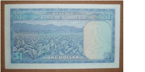 Banknote from Rhodesia