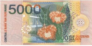 Banknote from Suriname