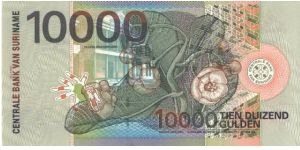 Banknote from Suriname