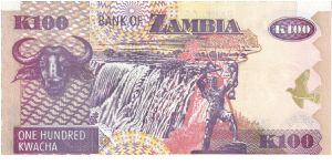 Banknote from Zambia