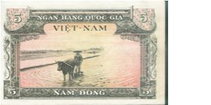 5 Dong Banknote