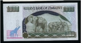 Banknote from Zimbabwe