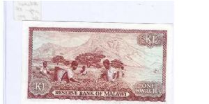 Banknote from Malawi