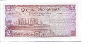 Banknote from Sri Lanka