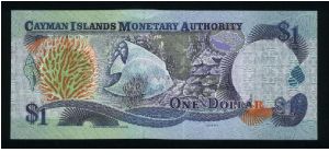 Banknote from Cayman Islands