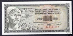 1000 dinara UNC Banknote