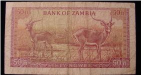 Banknote from Zambia