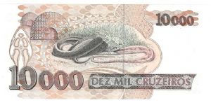 Banknote from Brazil