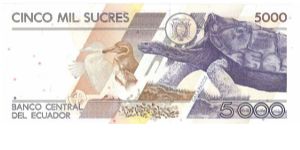 Banknote from Ecuador