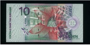 Banknote from Suriname