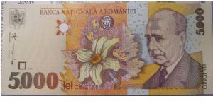 Romania 5000 Lei banknote. Banknote