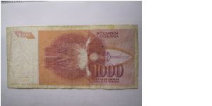 Banknote from Yugoslavia