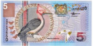 Suriname 5 Gulden Front Design: Campephilus Rubricollis (Bird) Banknote