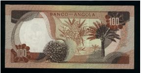 Banknote from Angola