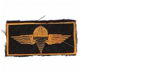 Iraq Airborne PAtch Banknote