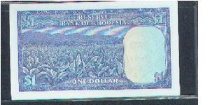 Banknote from Rhodesia