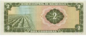 Banknote from Nicaragua