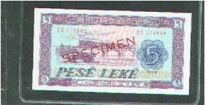 Specimen Note Banknote