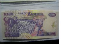 Banknote from Zambia