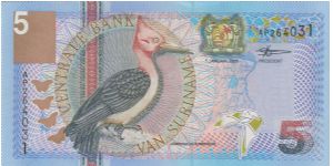 5 Gulden Banknote