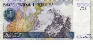 Banknote from Venezuela