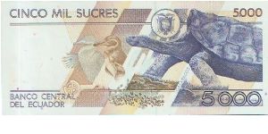 Banknote from Ecuador