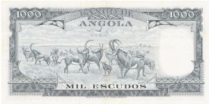 Banknote from Angola