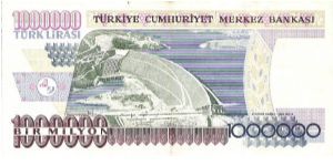 Banknote from Turkey