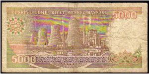 Banknote from Turkey