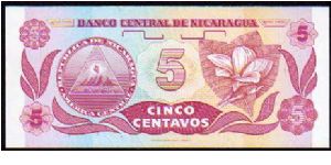 Banknote from Nicaragua