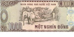 Banknote from Vietnam