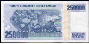 Banknote from Turkey