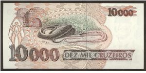 Banknote from Brazil