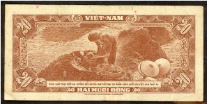 Banknote from Vietnam