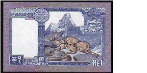 Banknote from Nepal