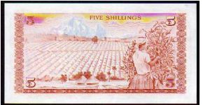 Banknote from Kenya