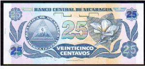 Banknote from Nicaragua