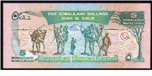 Banknote from Somalia