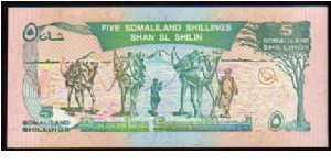 Banknote from Somalia