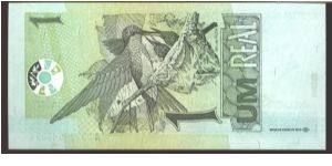 Banknote from Argentina