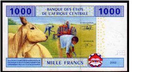 Banknote from Congo