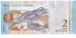 Banknote from Venezuela