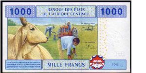 Banknote from Equatorial Guinea
