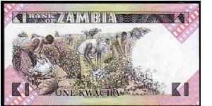 Banknote from Zambia