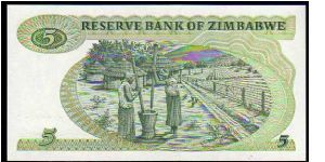 Banknote from Zimbabwe