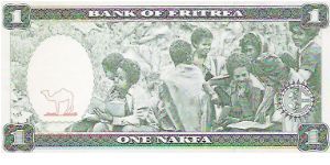 Banknote from Eritrea