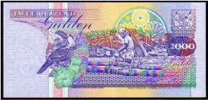 Banknote from Suriname