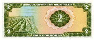 Banknote from Nicaragua