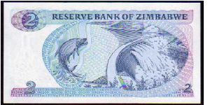 Banknote from Zimbabwe